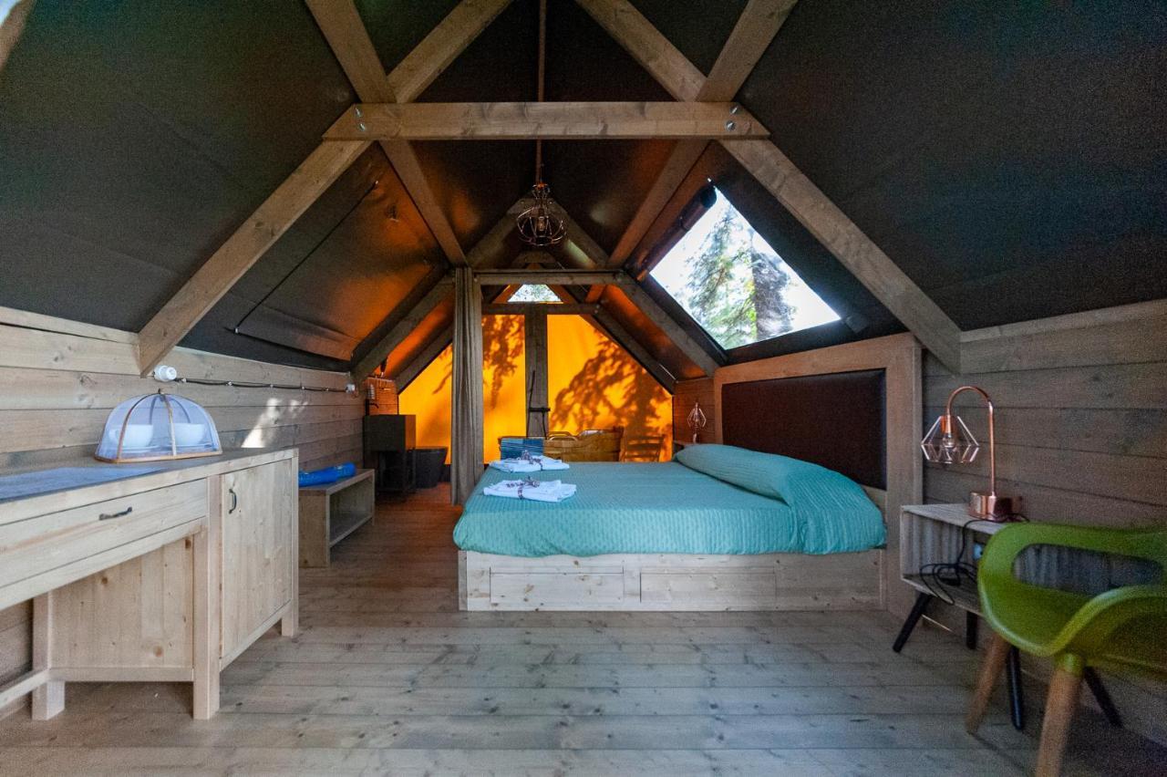 AgriResort Spa Glamping Poggio Di Montedoro Montefiascone Esterno foto